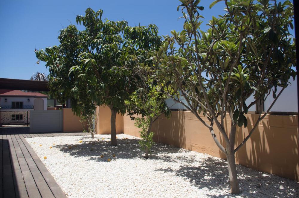 Villa La Marosca - Jacuzzi, Private Pool, 3 Bedrooms Калета-де-Фусте Экстерьер фото